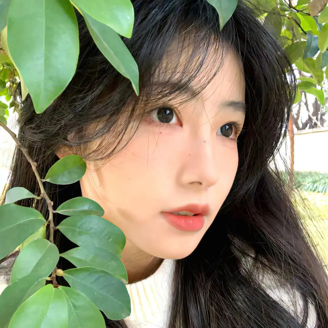 欢迎光临娃娃屋