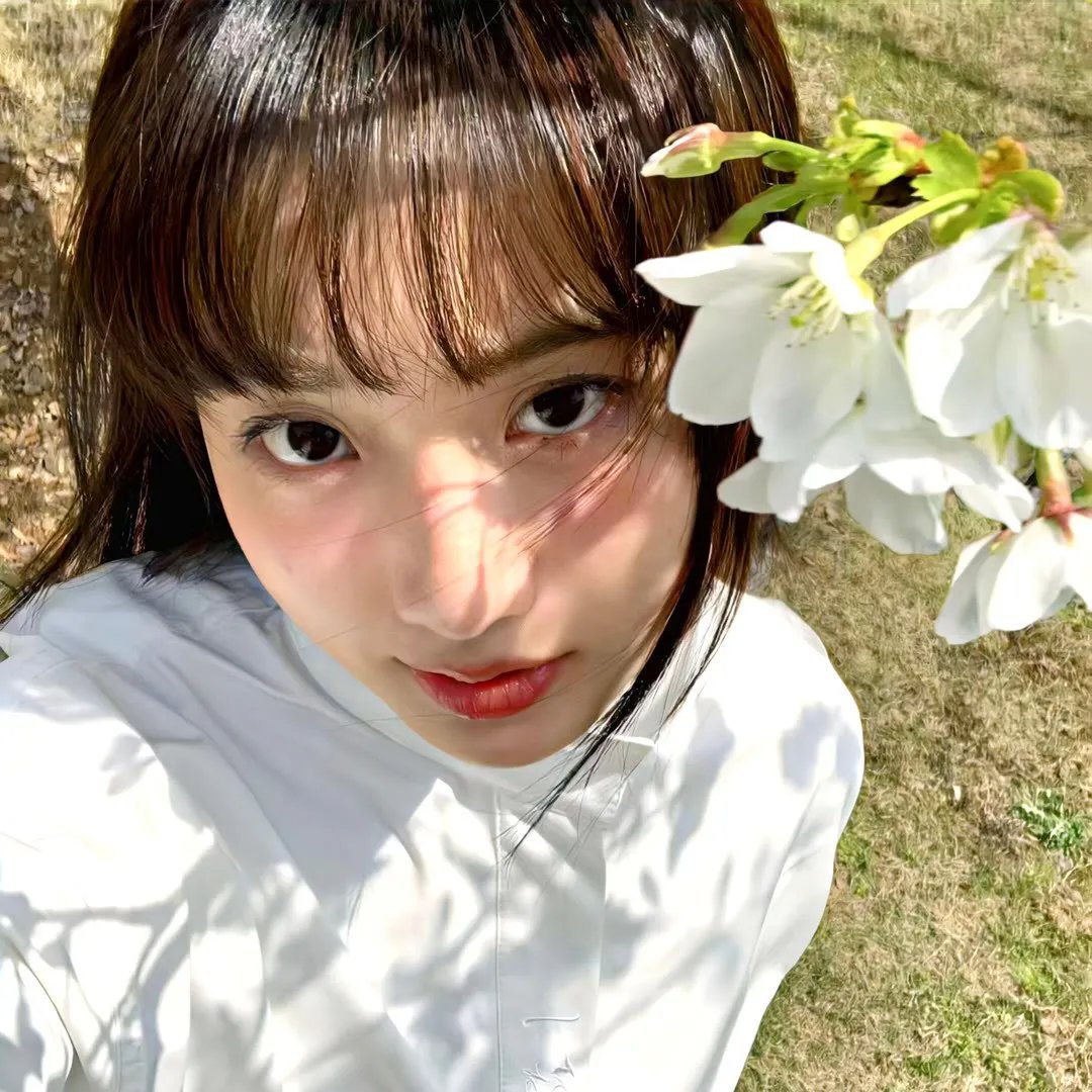 鲨鱼的儿子